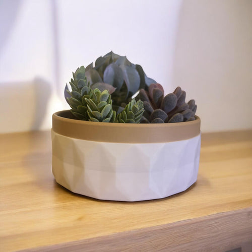 3D-Printed Planter/Bowl